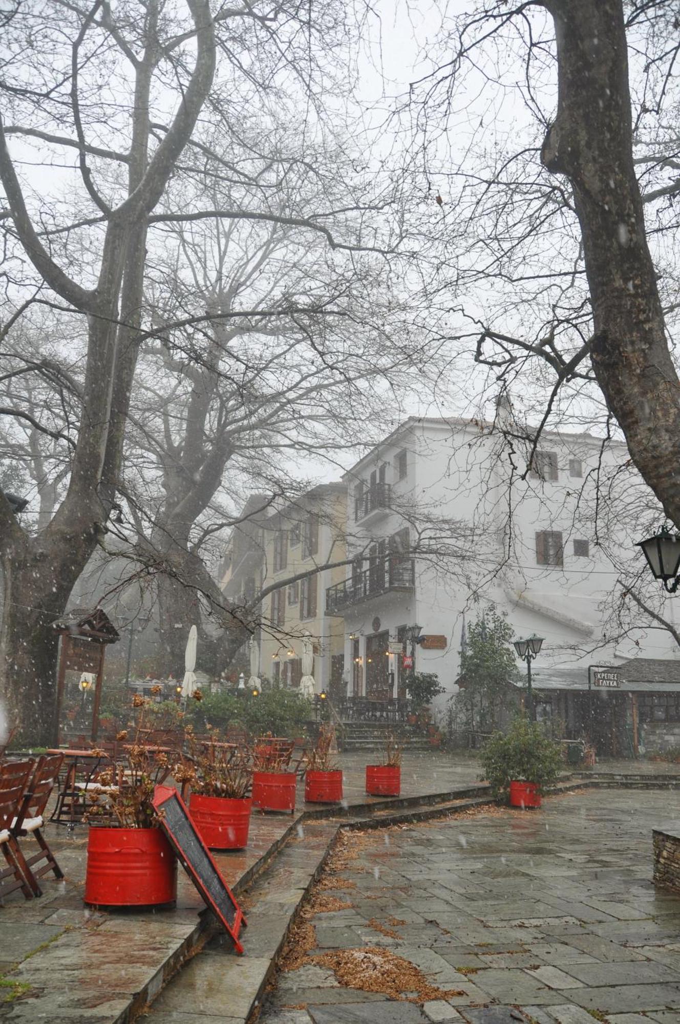 Ξενοδοχείο Πελίας Πορταριά Εξωτερικό φωτογραφία